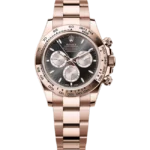 rolex daytona black and steel dial everose gold oyster 126505 front look