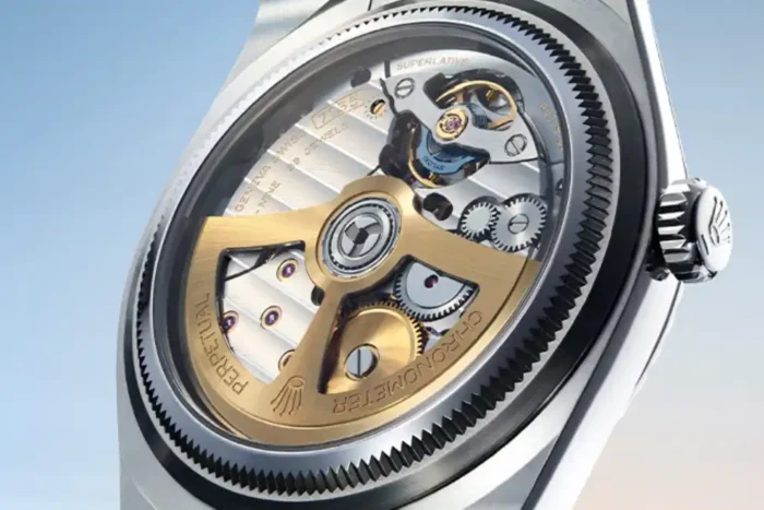 Rolex Land Dweller Caseback